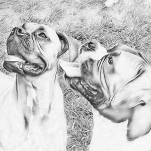 Meet your Posher, Wanda n doug